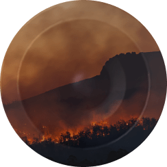 Pollution of soil, air, water